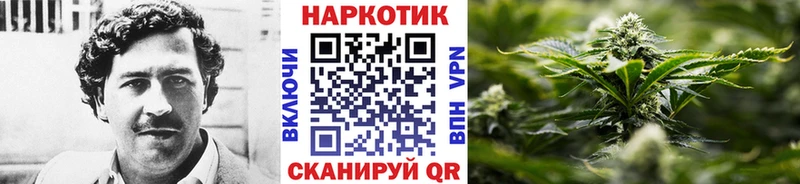 Виды наркотиков купить Сатка Каннабис  COCAIN  Галлюциногенные грибы  ГАШИШ 
