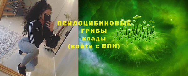 скорость Алзамай