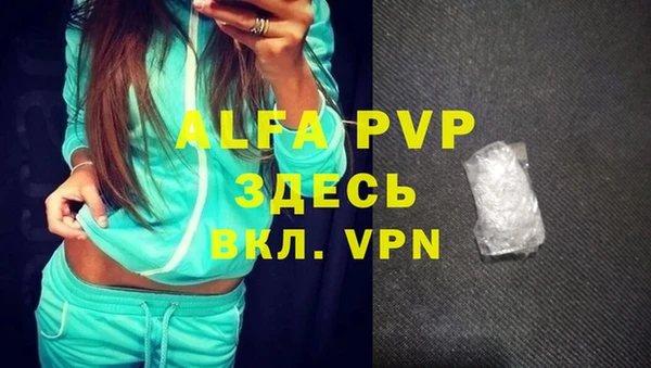 амф Новодвинск