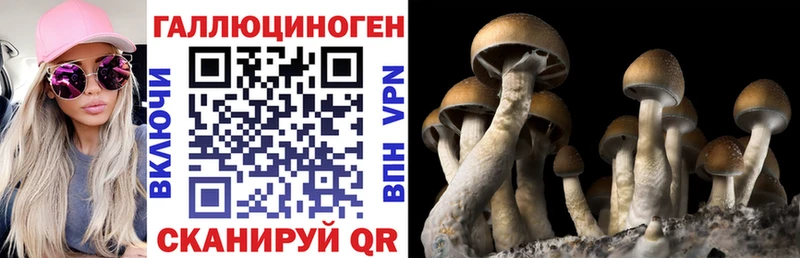 Галлюциногенные грибы GOLDEN TEACHER  Сатка 